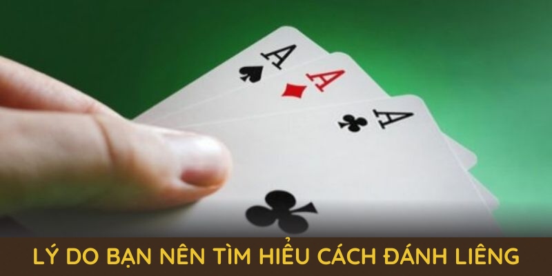 Lý do bạn nên tìm hiểu cách đánh liêng tại SHBET