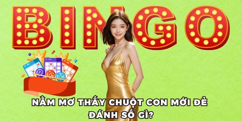 Nằm mơ thấy chuột đánh số mấy? chuột con mới đẻ
