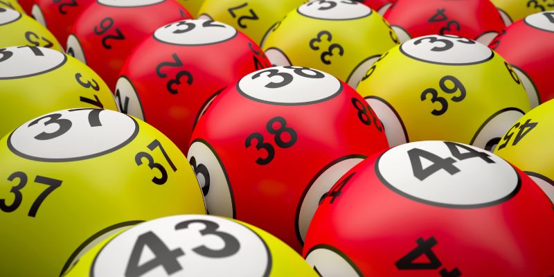 Bật mí lợi ích của việc nuôi lô khung 3 hôm